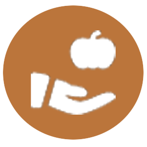 Icon of a hand holding an pumpkin, symbolizing porch pumpkin designs in Milton GA