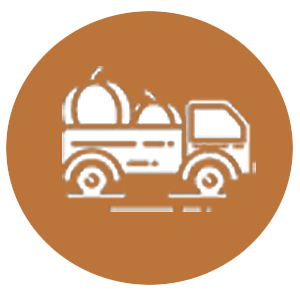 Icon of a delivery truck carrying pumpkins, symbolizing pumpkin delivery in Alpharetta GA