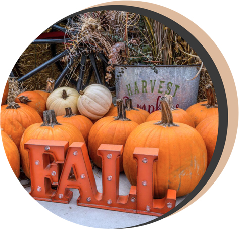 Elegant pumpkin display featuring vibrant orange and white pumpkins with a FALL Harvest sign outside of a dentist office in Sandy Springs GA